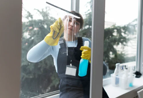 Nettoyage de vitres intérieures et extérieures à Vron